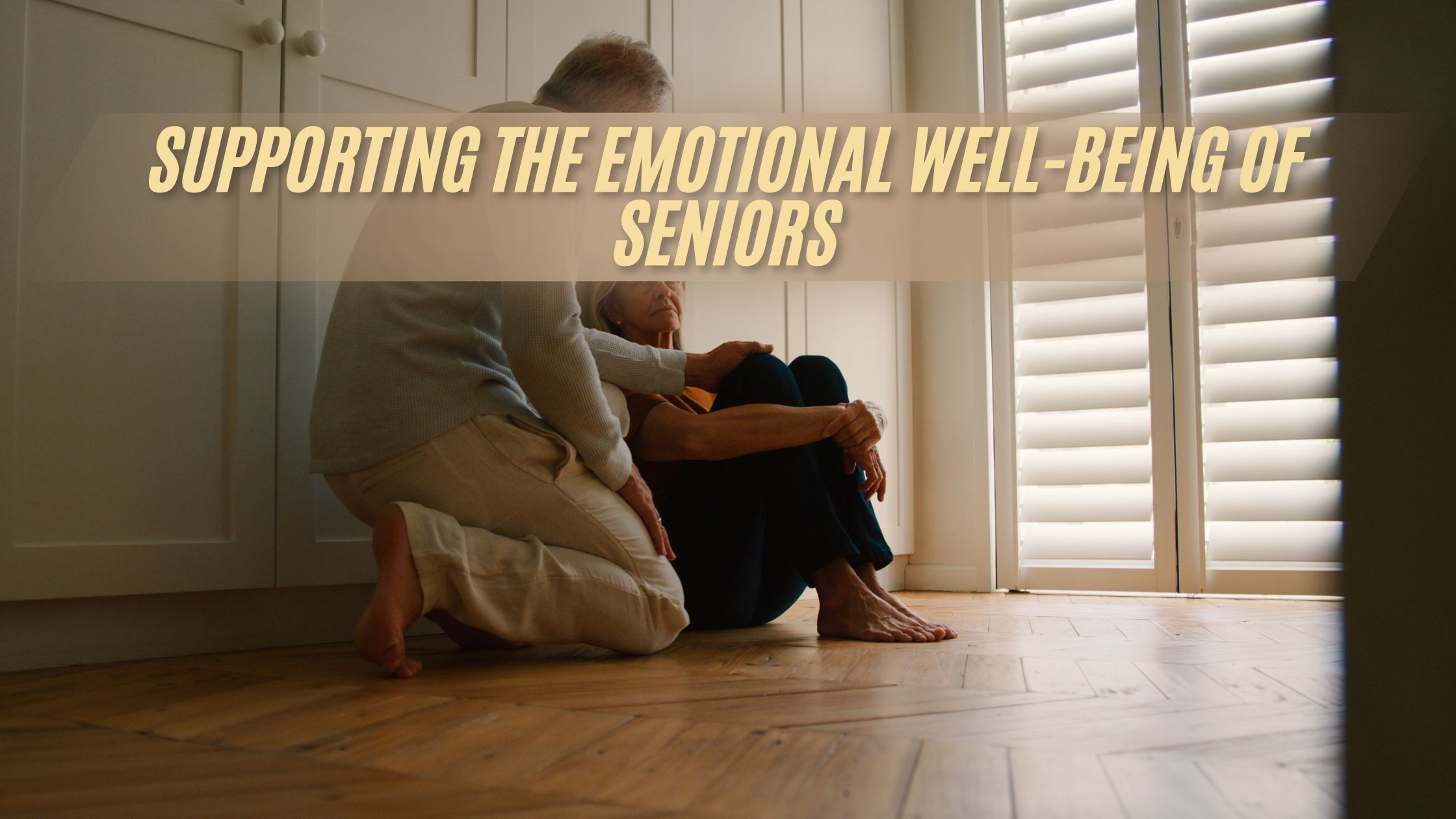 Supporting the Emotional Well-Being of Seniors (FI)